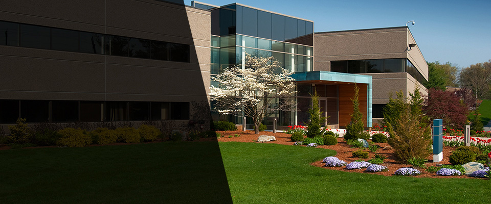 Glen Allen Landscapers