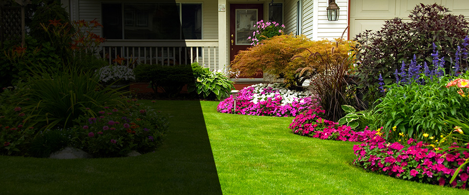 Glen Allen Landscapers