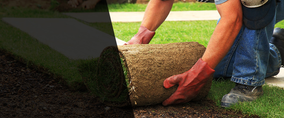 Glen Allen Landscapers